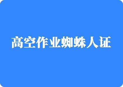 黄片日B高空作业蜘蛛人证